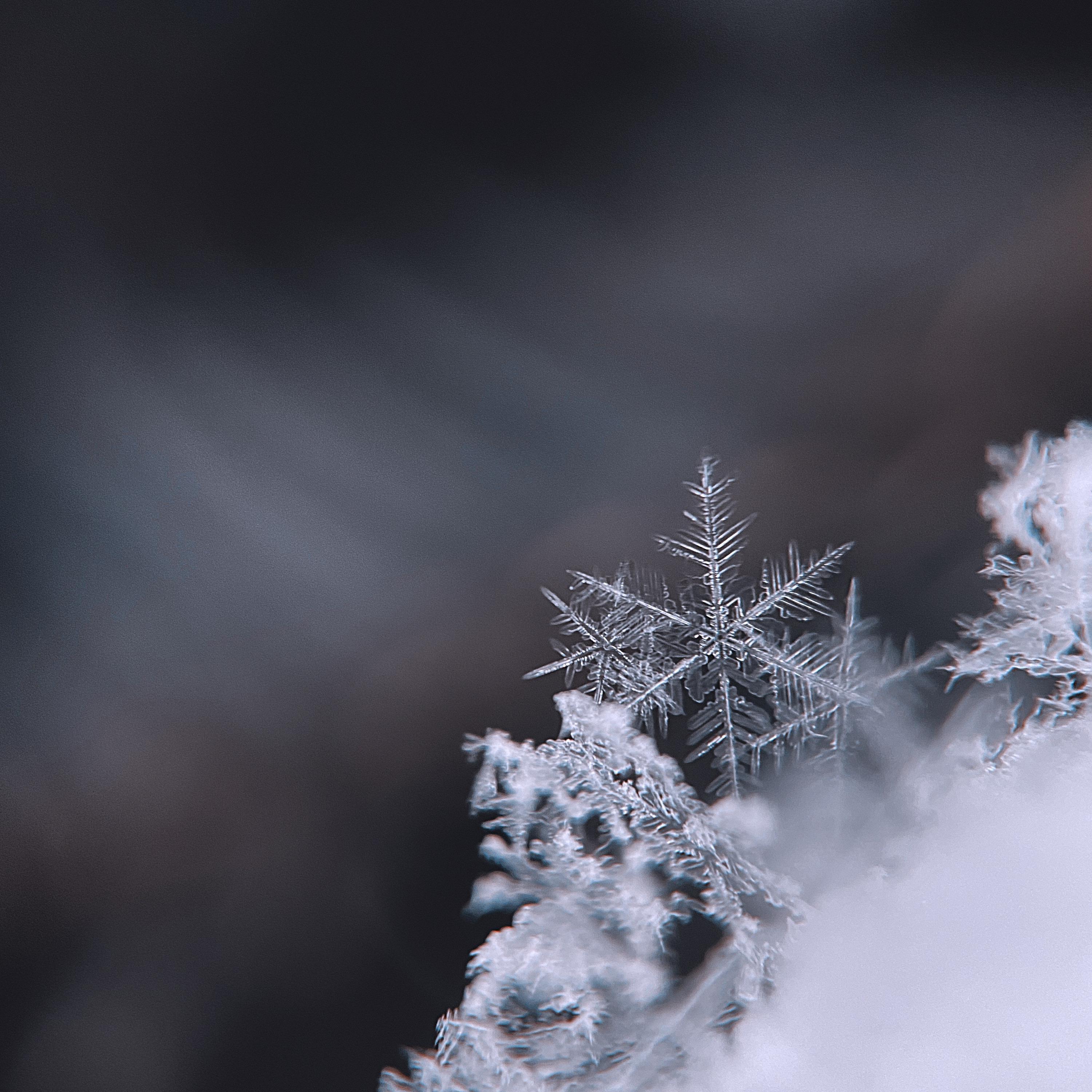 Eternal Crystal