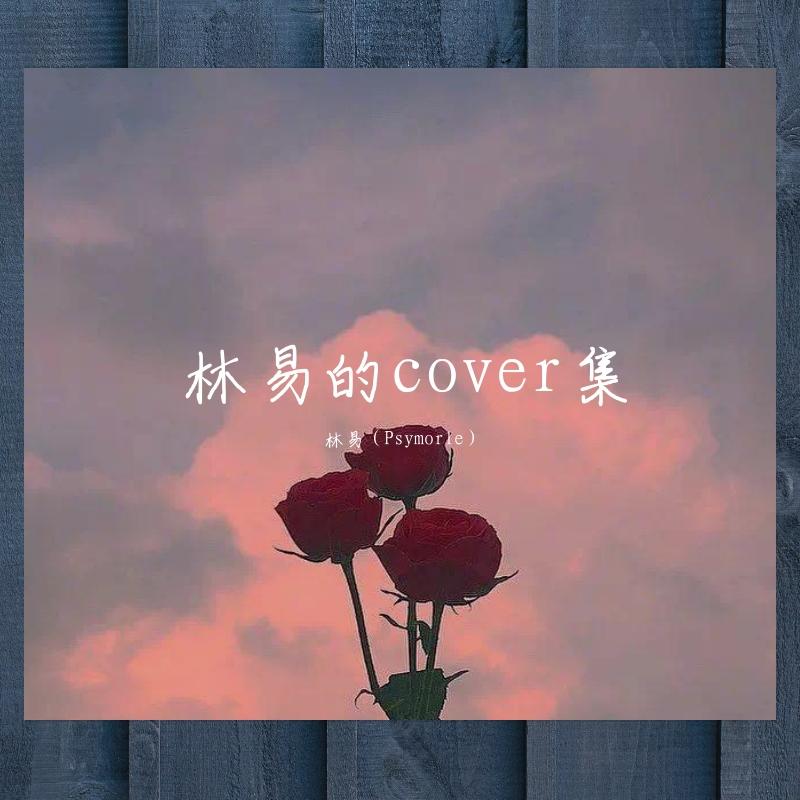 林易的cover集