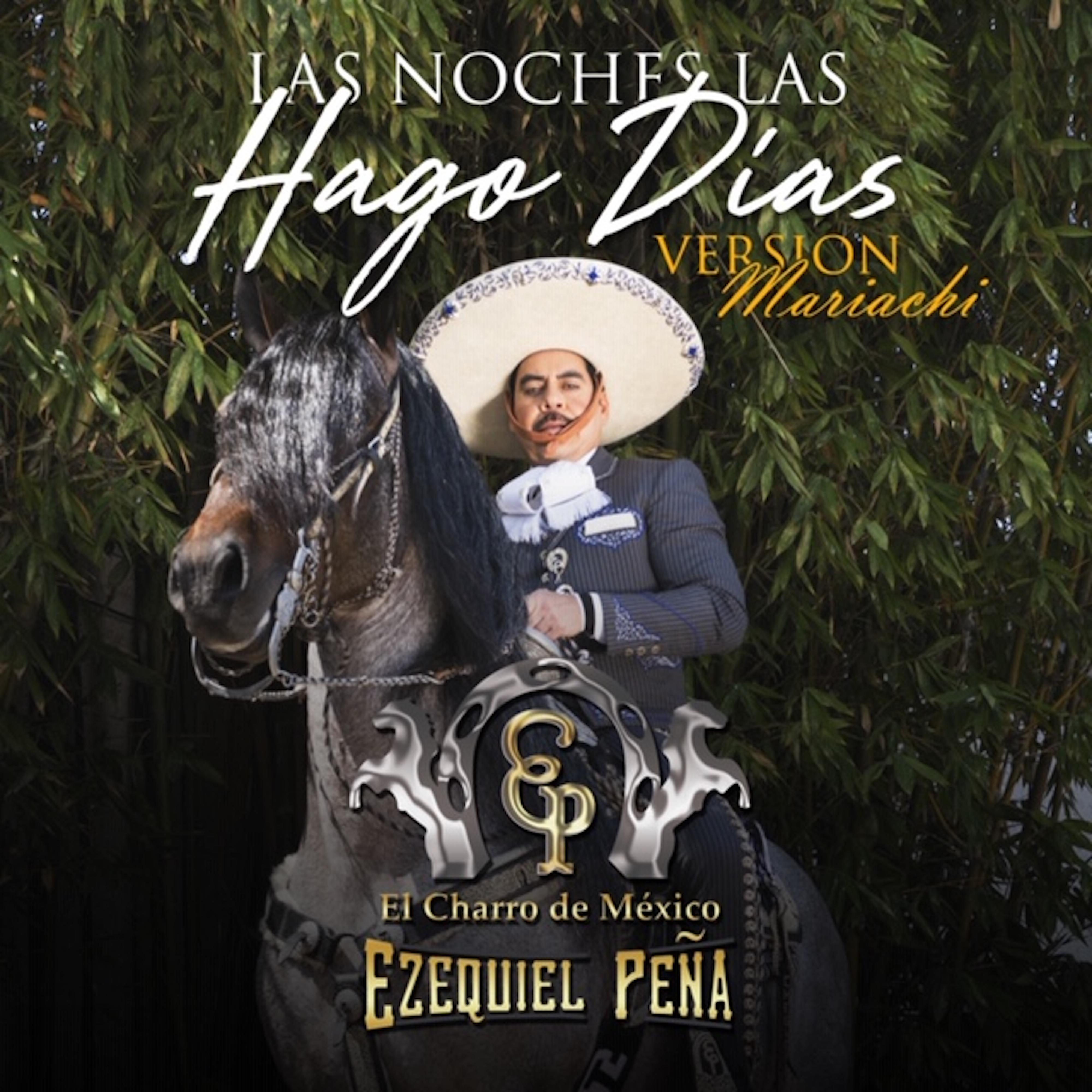 Las Noches Las Hago Dias (Version Mariachi)