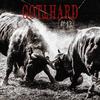 Gotthard - No Time to Cry