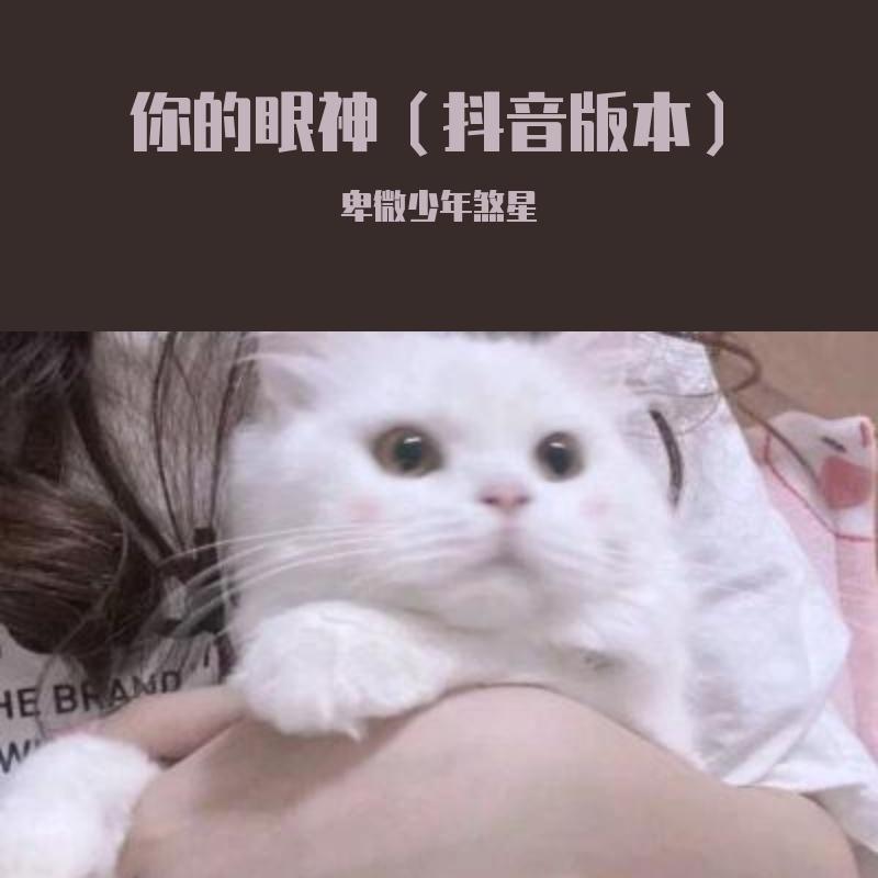 你的眼神（抖音版本）