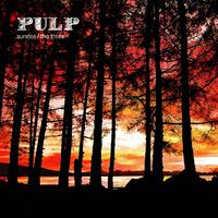 The Trees / Sunrise