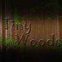 Tiny Woods专辑