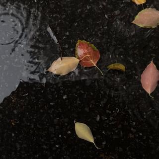 伤感纯音｜极致孤独 心碎旋律首首戳心