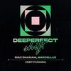 Riaz Dhanani - Keep Pushing (Original Mix)