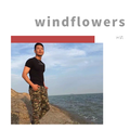 windflowers