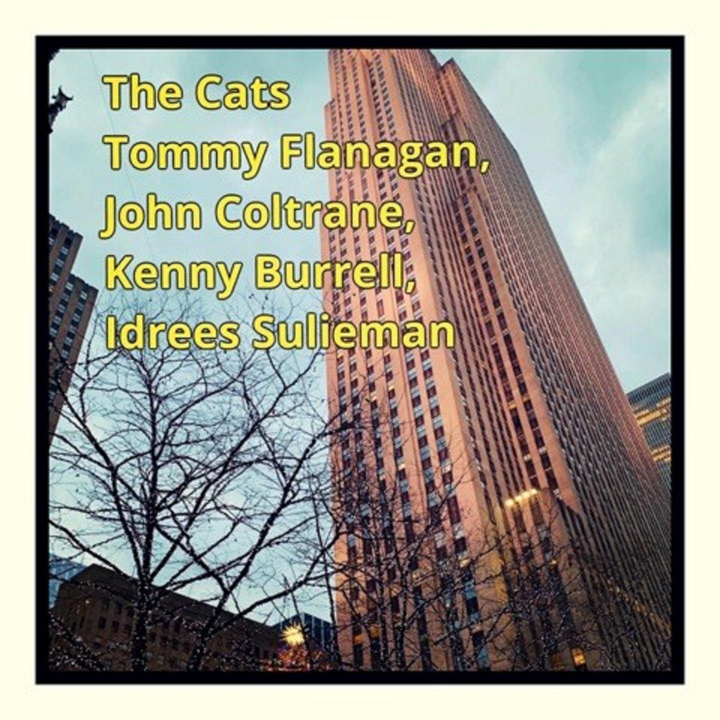 The Cats