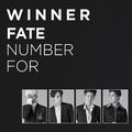 FATE NUMBER FOR (Japanese Ver.)