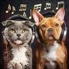 Alpha For Pets - Soothing Companions Rhythms