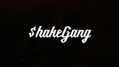 #圳动Shakegang