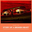 Story of a Broken Heart专辑