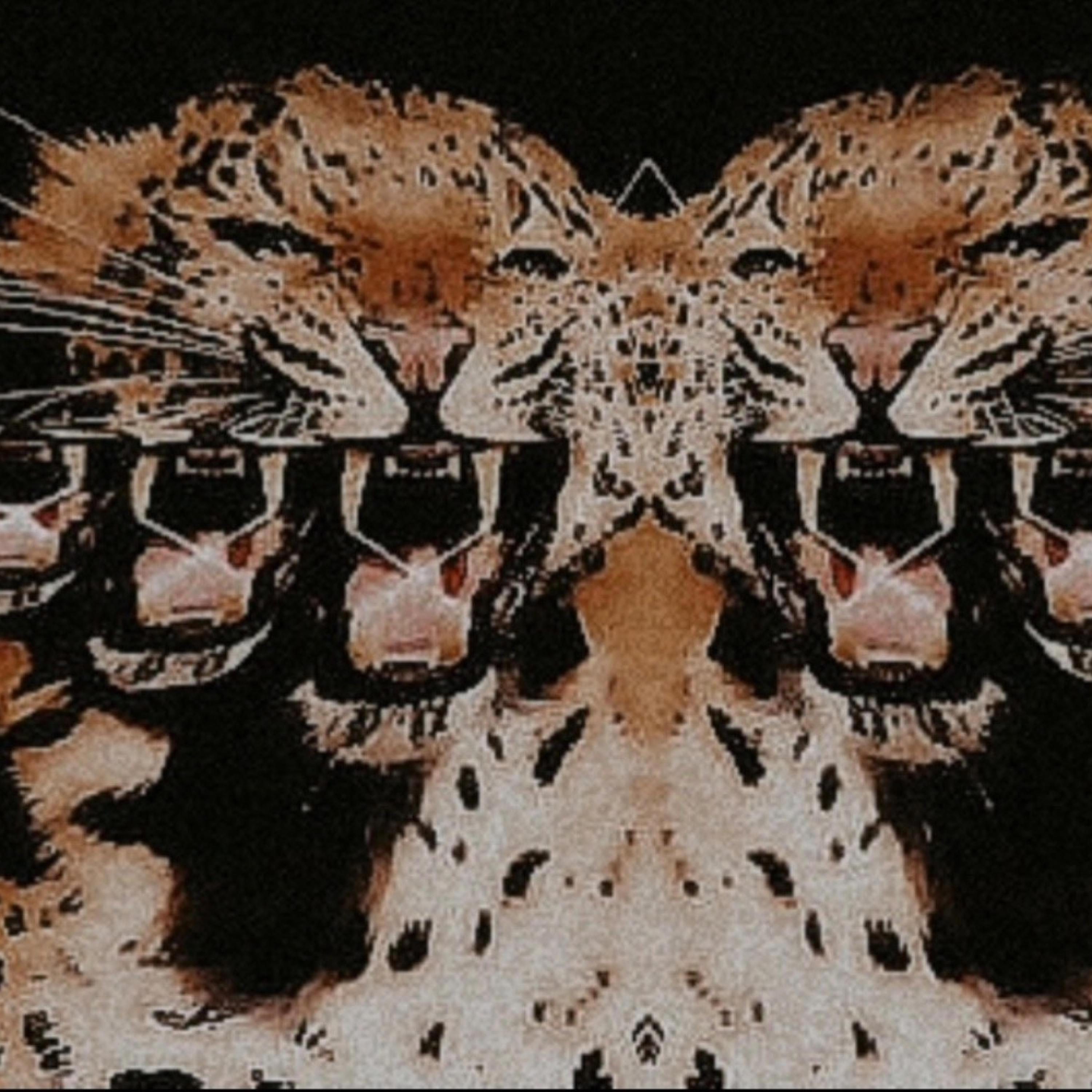 faction