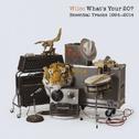 What's Your 20? Essential Tracks 1994-2014 专辑