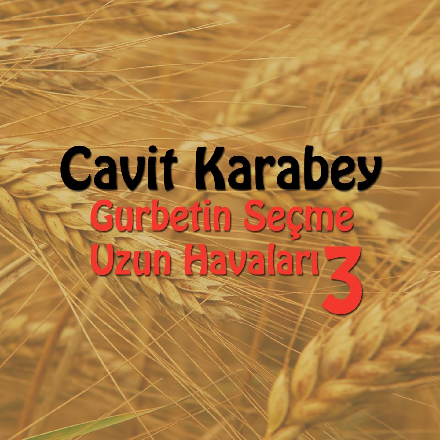 Gurbetin Seçme Uzun Havaları, Vol. 3专辑