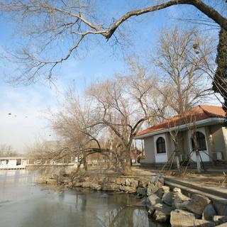 评论极少的宝藏歌曲