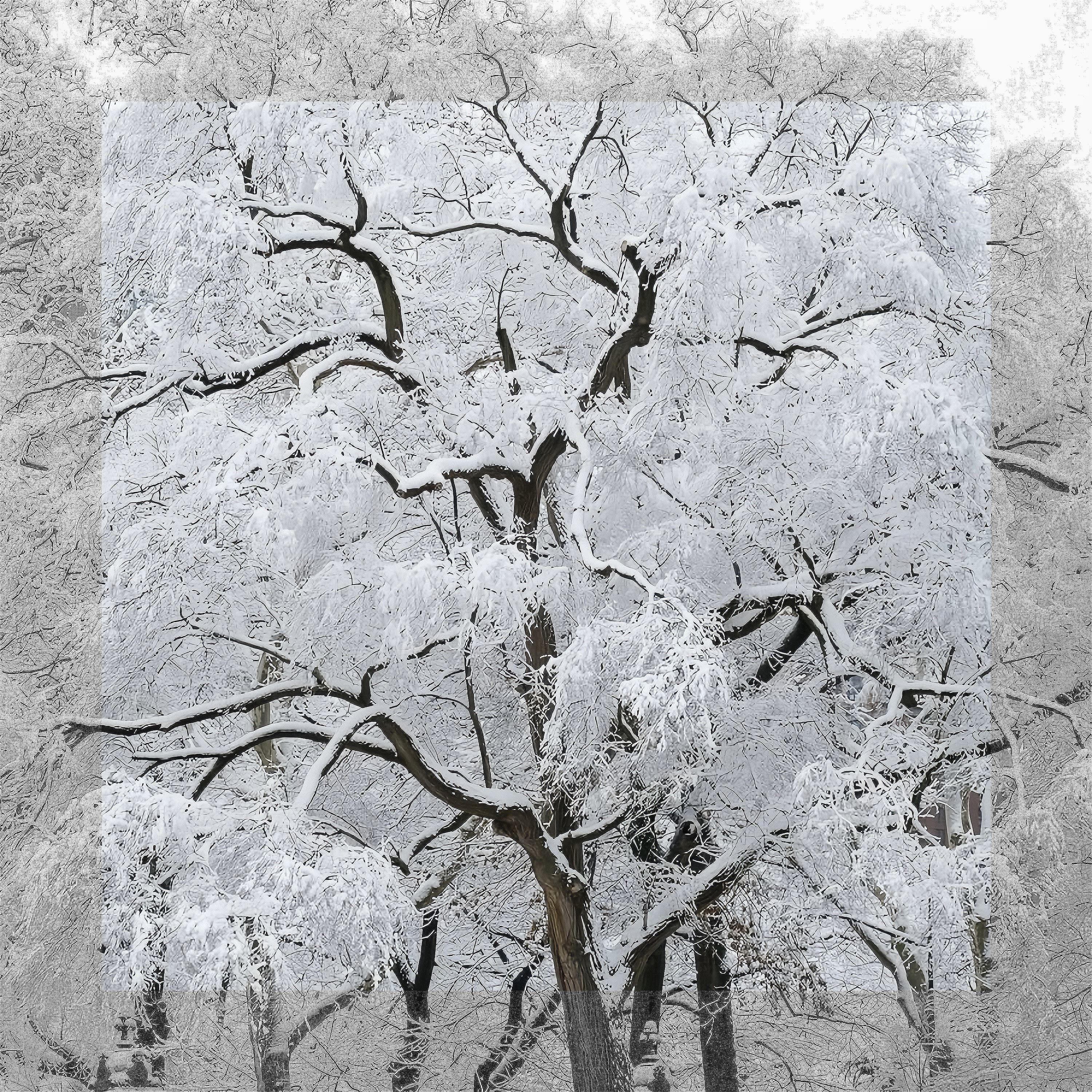 上行时期的圣诞节