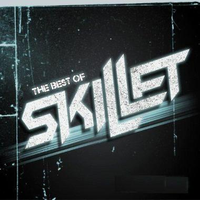 Skillet - Savior (acoustic Instrumental)