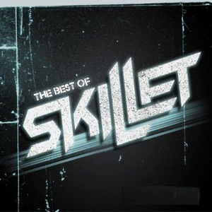 Skillet - Comatose (BB Instrumental) 无和声伴奏