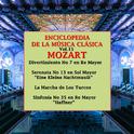 Enciclopedia de la Música Clásica Vol.15专辑