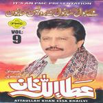 Ve Bol Sanwal Na Rolien Sanwal, Vol. 9专辑