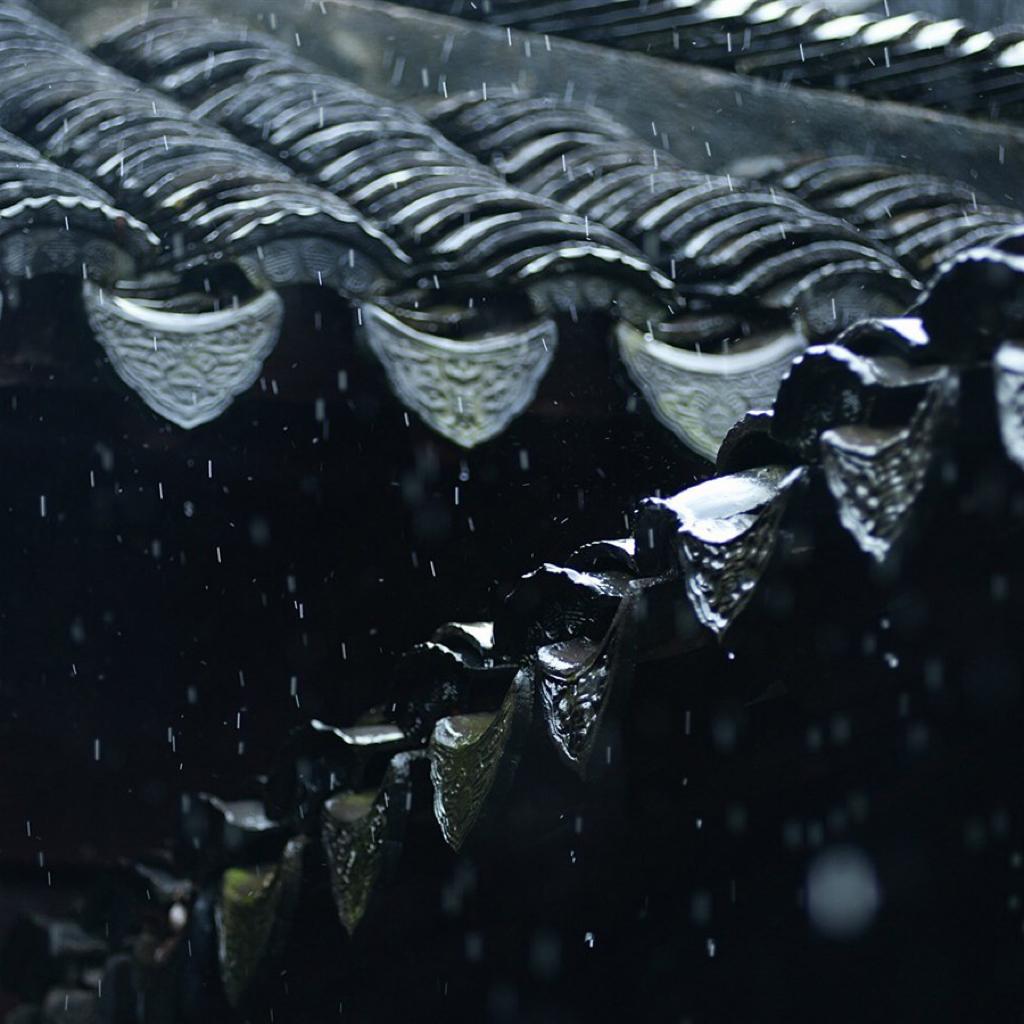 ----自然之声----「雨声」