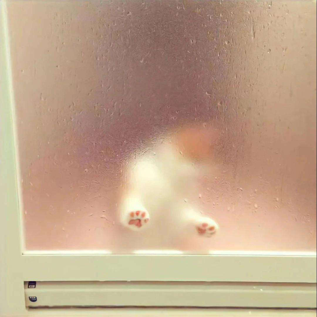 两个我们