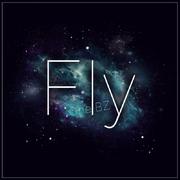 Fly