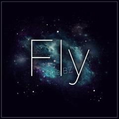 Fly