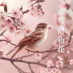 辛雯 - 飞鸟衔新花（伴奏）