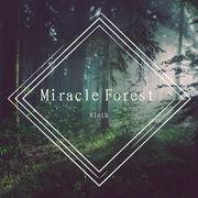 Miracle Forest