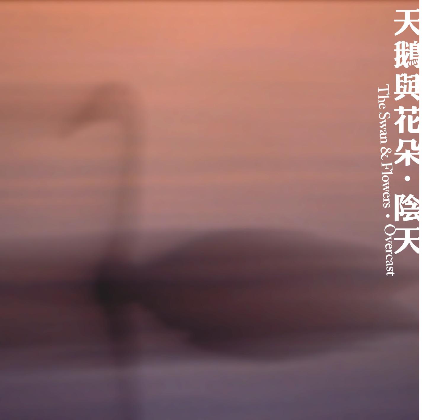 阴天(Demos:2012-2015）专辑