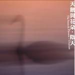 阴天(Demos:2012-2015）专辑