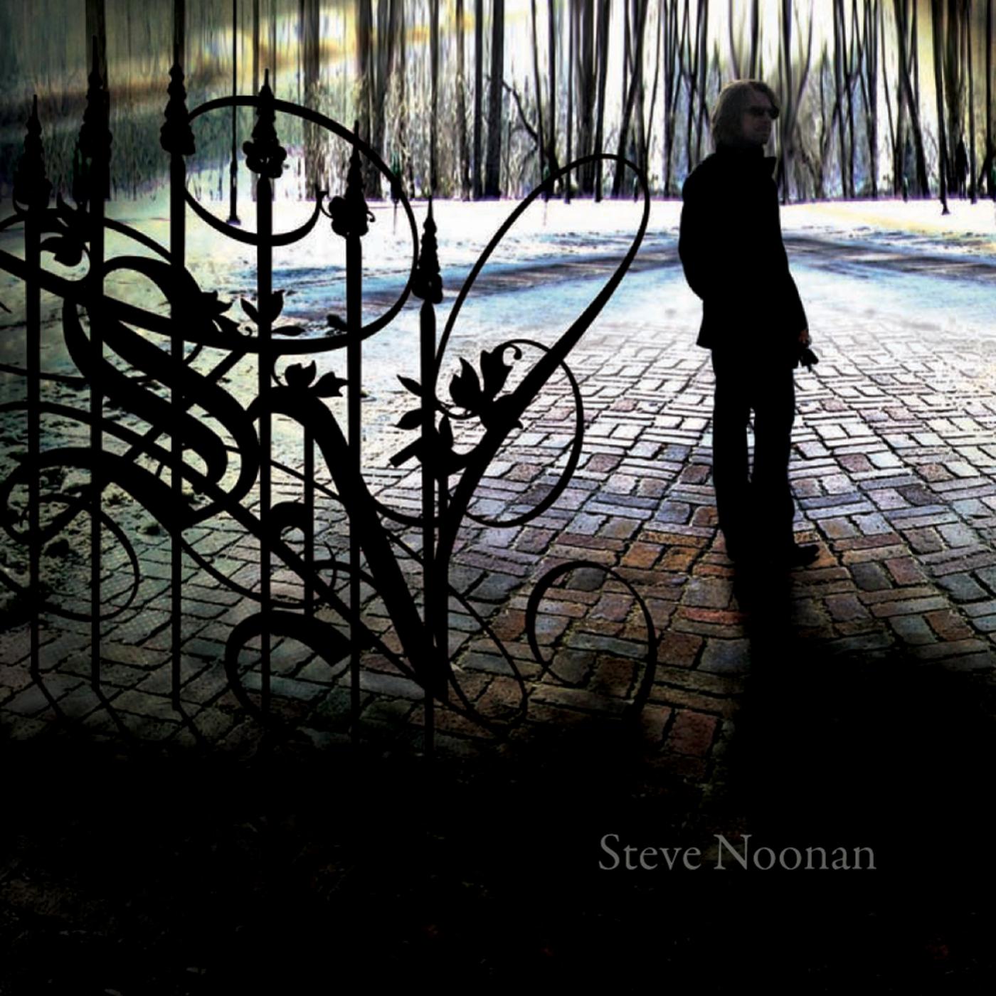 Steve Noonan