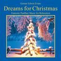 Dreams For Christmas: Fantastic Panflute Music专辑