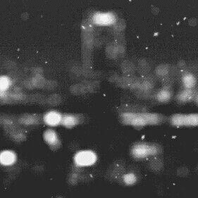 这个雪夜，窝在被窝里听歌才是正经事
