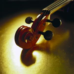 solo-violin （升2半音）