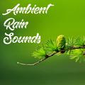 20 Ambient Rain and Nature Sounds - Mindfulness and Zen Sounds