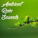 20 Ambient Rain and Nature Sounds - Mindfulness and Zen Sounds专辑