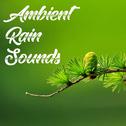 20 Ambient Rain and Nature Sounds - Mindfulness and Zen Sounds专辑