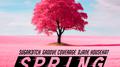 SPRING专辑