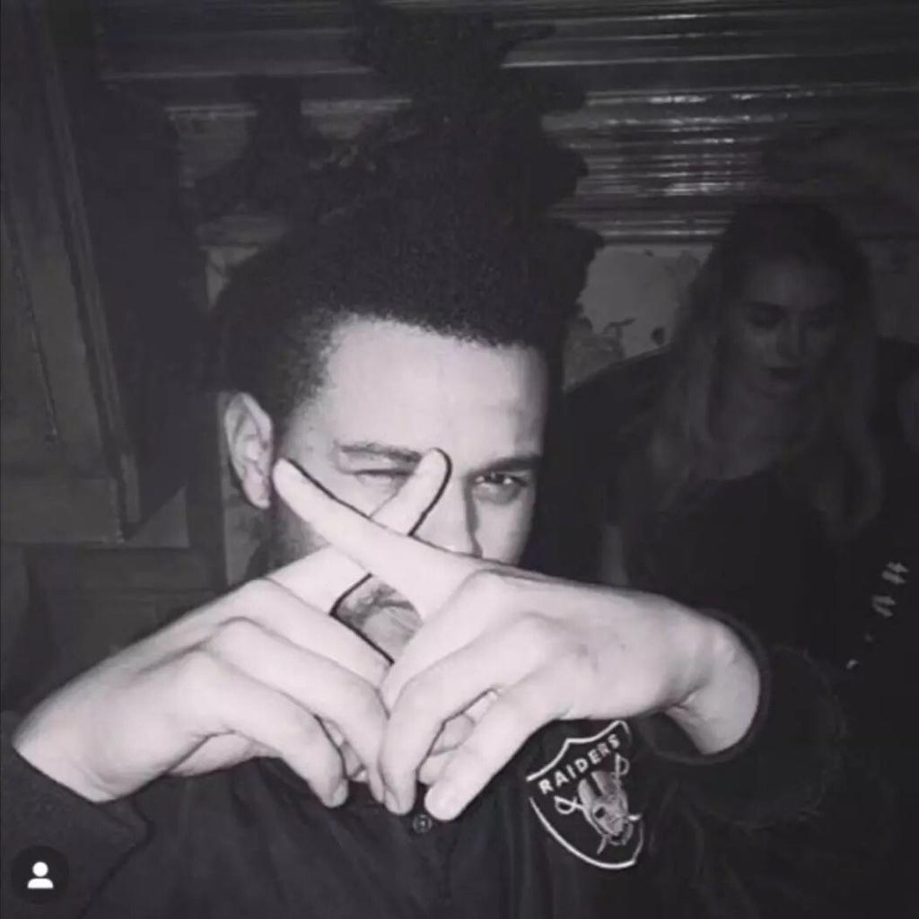 盆栽哥企业级精选(The Weeknd)