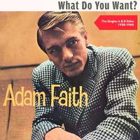 What Do You Want - Adam Faith (karaoke)