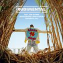 These Days (feat. Jess Glynne, Macklemore & Dan Caplen) [Rudimental VIP]专辑