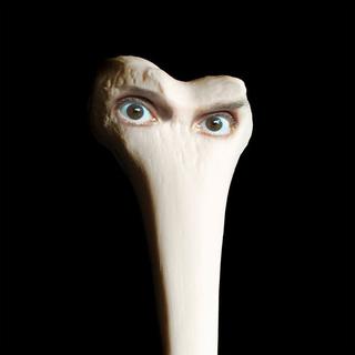 Halo／Juana Molina