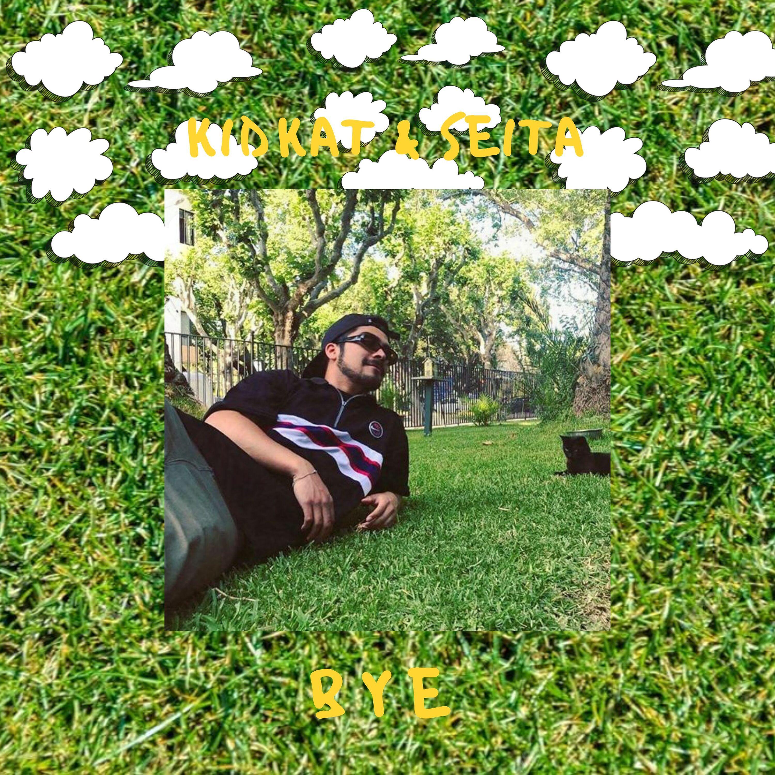 Bye (feat. chicochoke)