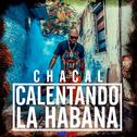 Calentando la Habana专辑