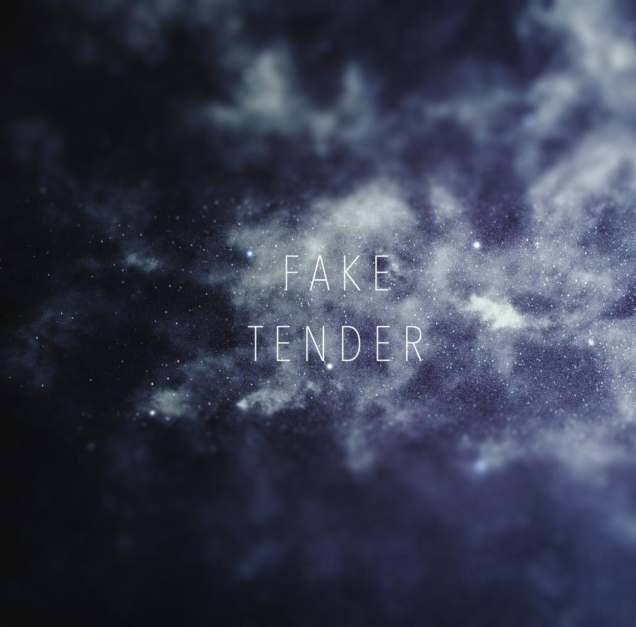 FAKE TENDER