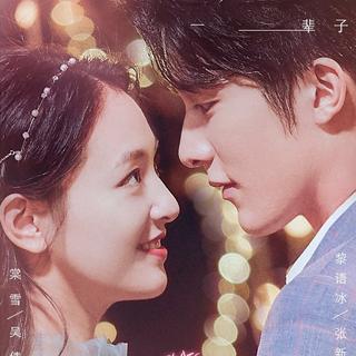 电视剧冰糖炖雪梨主题曲