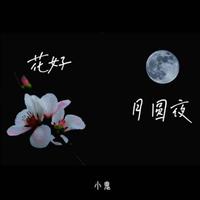 宁菲儿 - 花好月圆夜(伴奏)