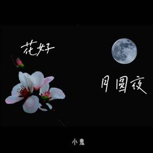 Lil Ghost小鬼(王琳凯)-花好月圆夜 伴奏 无人声 伴奏 制作版